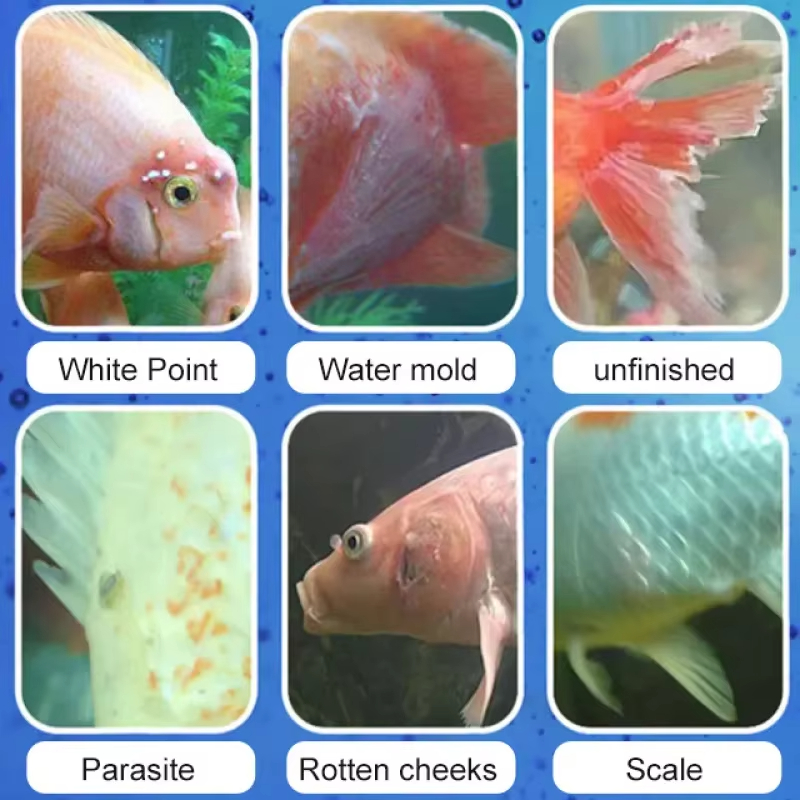 Tratamento de doenças de peixe - Water Soluble Stabilizer avaliação e preço
